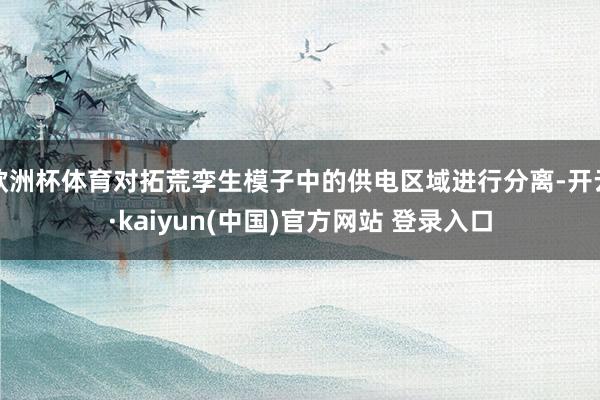 欧洲杯体育对拓荒孪生模子中的供电区域进行分离-开云·kaiyun(中国)官方网站 登录入口