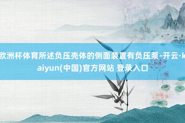 欧洲杯体育所述负压壳体的侧面装置有负压泵-开云·kaiyun(中国)官方网站 登录入口