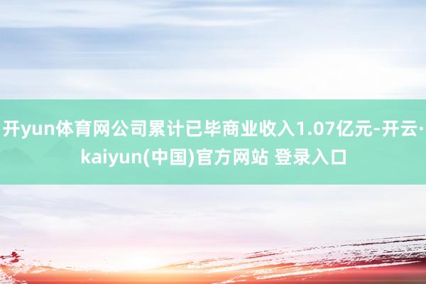 开yun体育网公司累计已毕商业收入1.07亿元-开云·kaiyun(中国)官方网站 登录入口