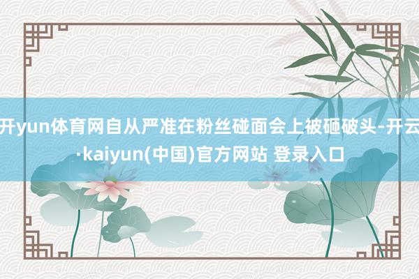 开yun体育网自从严准在粉丝碰面会上被砸破头-开云·kaiyun(中国)官方网站 登录入口