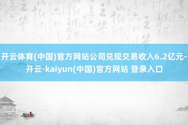 开云体育(中国)官方网站公司兑现交易收入6.2亿元-开云·kaiyun(中国)官方网站 登录入口