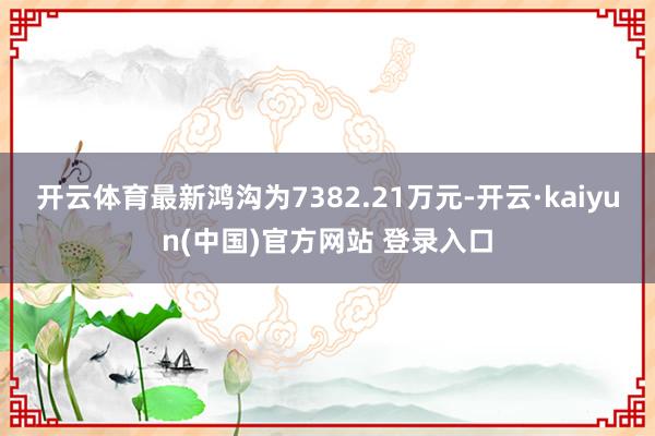 开云体育最新鸿沟为7382.21万元-开云·kaiyun(中国)官方网站 登录入口