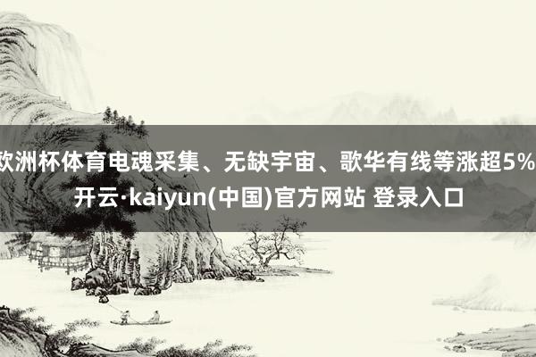 欧洲杯体育电魂采集、无缺宇宙、歌华有线等涨超5%-开云·kaiyun(中国)官方网站 登录入口
