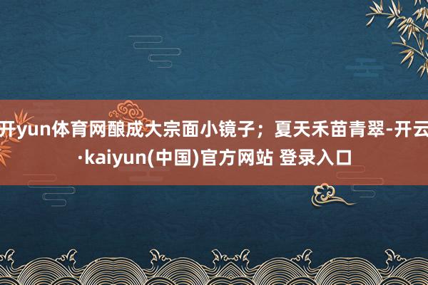 开yun体育网酿成大宗面小镜子；夏天禾苗青翠-开云·kaiyun(中国)官方网站 登录入口