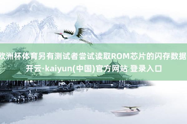 欧洲杯体育另有测试者尝试读取ROM芯片的闪存数据-开云·kaiyun(中国)官方网站 登录入口