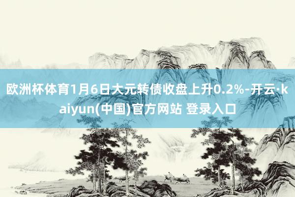 欧洲杯体育1月6日大元转债收盘上升0.2%-开云·kaiyun(中国)官方网站 登录入口