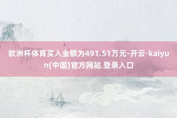 欧洲杯体育买入金额为491.51万元-开云·kaiyun(中国)官方网站 登录入口