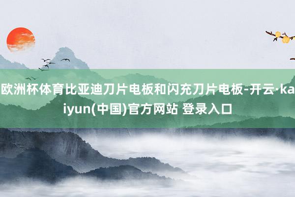 欧洲杯体育比亚迪刀片电板和闪充刀片电板-开云·kaiyun(中国)官方网站 登录入口