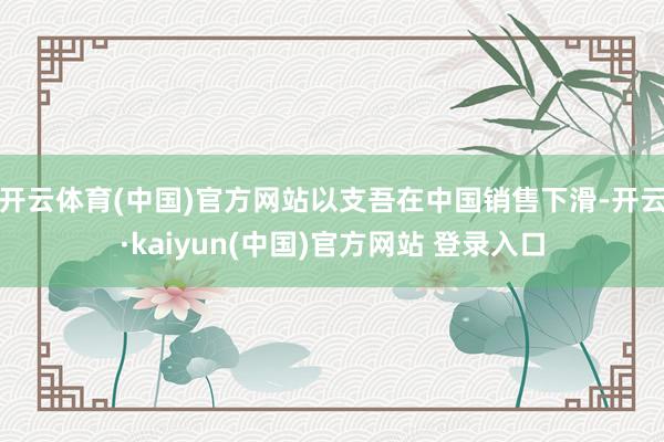 开云体育(中国)官方网站以支吾在中国销售下滑-开云·kaiyun(中国)官方网站 登录入口