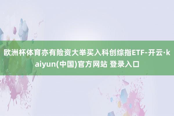 欧洲杯体育　　亦有险资大举买入科创综指ETF-开云·kaiyun(中国)官方网站 登录入口