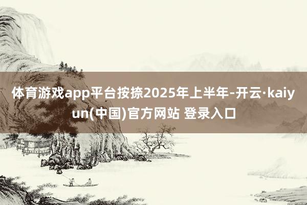 体育游戏app平台按捺2025年上半年-开云·kaiyun(中国)官方网站 登录入口