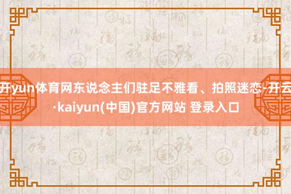 开yun体育网东说念主们驻足不雅看、拍照迷恋-开云·kaiyun(中国)官方网站 登录入口