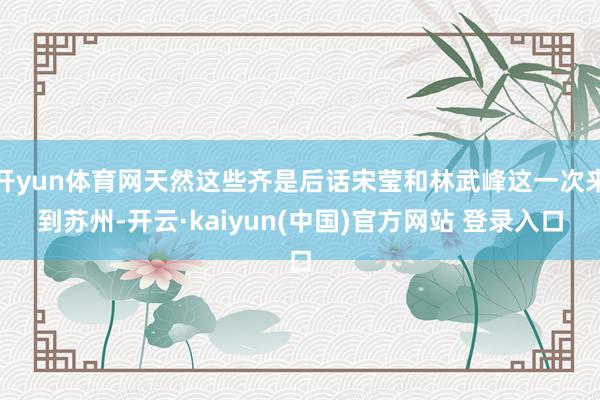 开yun体育网天然这些齐是后话宋莹和林武峰这一次来到苏州-开云·kaiyun(中国)官方网站 登录入口