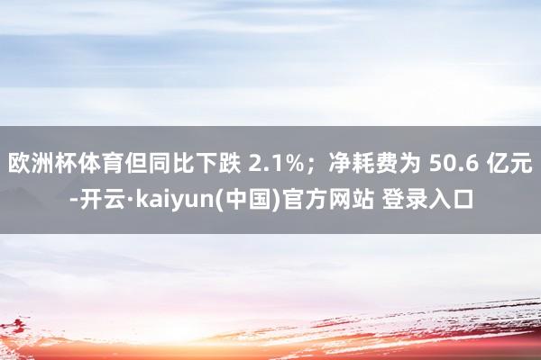 欧洲杯体育但同比下跌 2.1%；净耗费为 50.6 亿元-开云·kaiyun(中国)官方网站 登录入口