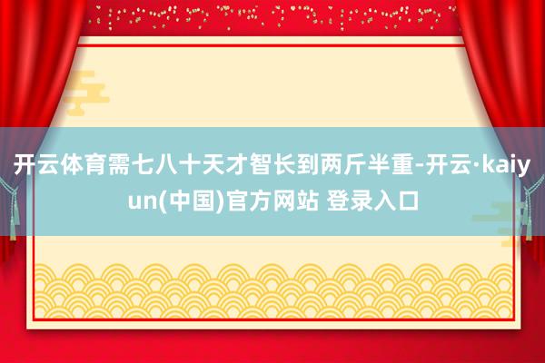 开云体育需七八十天才智长到两斤半重-开云·kaiyun(中国)官方网站 登录入口