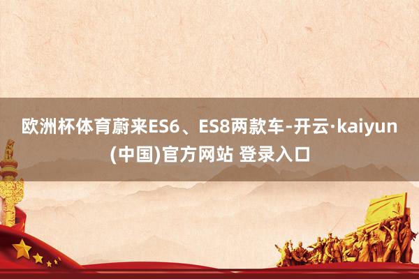 欧洲杯体育蔚来ES6、ES8两款车-开云·kaiyun(中国)官方网站 登录入口