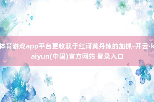 体育游戏app平台更收获于红河黄丹辣的加抓-开云·kaiyun(中国)官方网站 登录入口