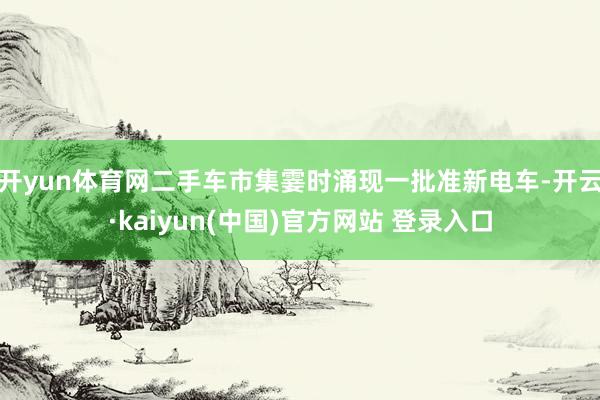 开yun体育网二手车市集霎时涌现一批准新电车-开云·kaiyun(中国)官方网站 登录入口