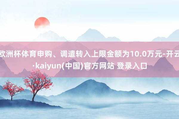 欧洲杯体育申购、调遣转入上限金额为10.0万元-开云·kaiyun(中国)官方网站 登录入口