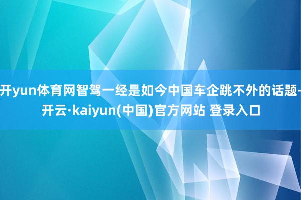 开yun体育网智驾一经是如今中国车企跳不外的话题-开云·kaiyun(中国)官方网站 登录入口