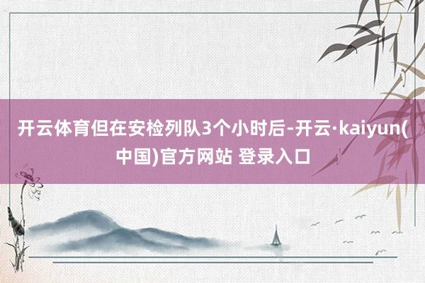 开云体育但在安检列队3个小时后-开云·kaiyun(中国)官方网站 登录入口