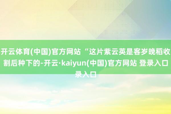 开云体育(中国)官方网站 “这片紫云英是客岁晚稻收割后种下的-开云·kaiyun(中国)官方网站 登录入口