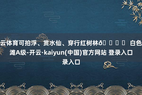 开云体育可拍浮、赏水仙、穿行红树林🏖️ 白色沙滩A级-开云·kaiyun(中国)官方网站 登录入口