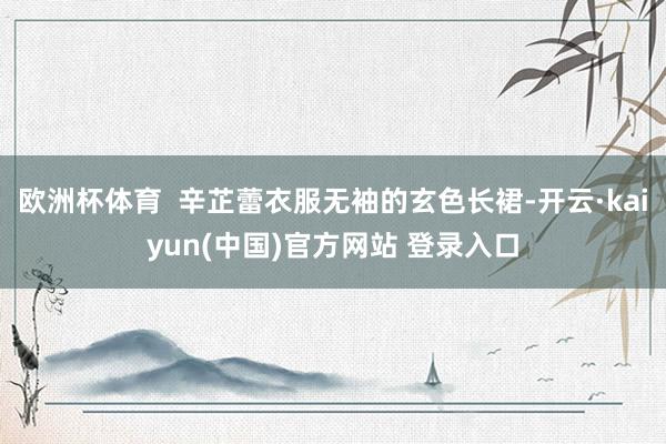 欧洲杯体育  辛芷蕾衣服无袖的玄色长裙-开云·kaiyun(中国)官方网站 登录入口