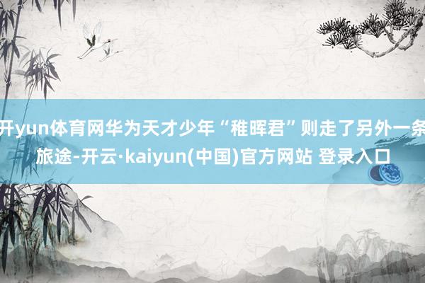 开yun体育网华为天才少年“稚晖君”则走了另外一条旅途-开云·kaiyun(中国)官方网站 登录入口