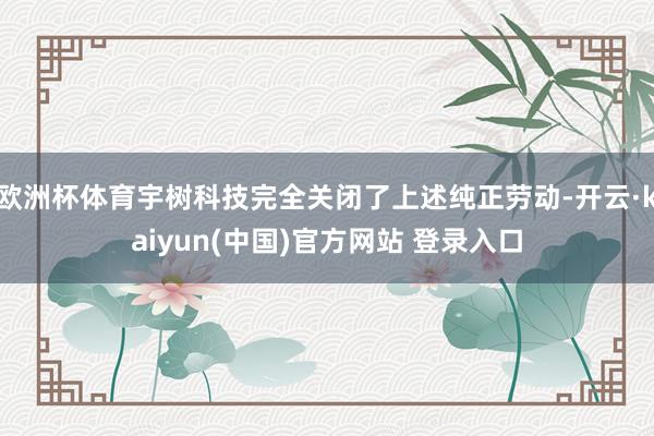欧洲杯体育宇树科技完全关闭了上述纯正劳动-开云·kaiyun(中国)官方网站 登录入口