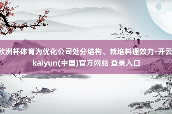 欧洲杯体育为优化公司处分结构、栽培料理效力-开云·kaiyun(中国)官方网站 登录入口