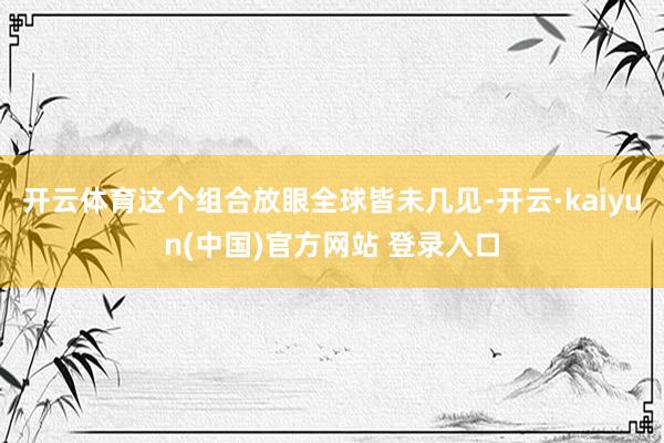开云体育这个组合放眼全球皆未几见-开云·kaiyun(中国)官方网站 登录入口
