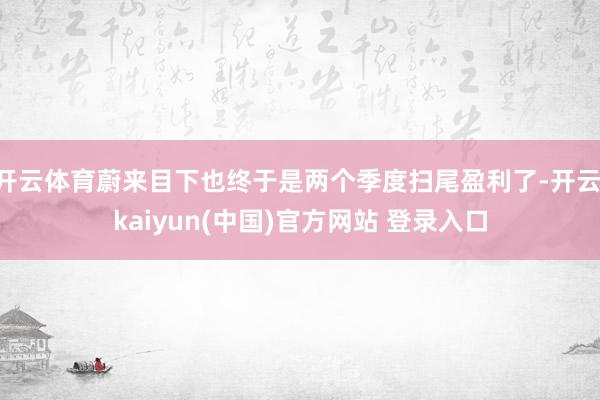 开云体育蔚来目下也终于是两个季度扫尾盈利了-开云·kaiyun(中国)官方网站 登录入口