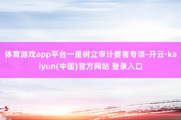 体育游戏app平台　　一是树立审计要害专项-开云·kaiyun(中国)官方网站 登录入口
