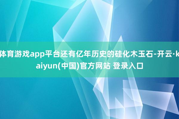 体育游戏app平台还有亿年历史的硅化木玉石-开云·kaiyun(中国)官方网站 登录入口