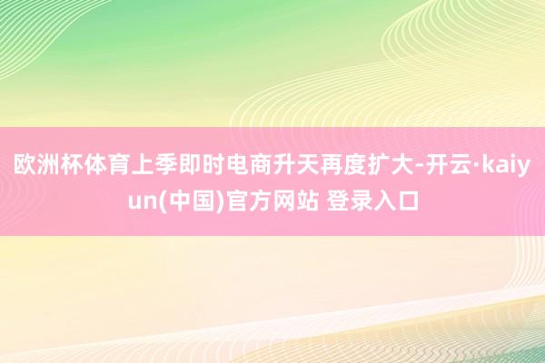 欧洲杯体育上季即时电商升天再度扩大-开云·kaiyun(中国)官方网站 登录入口
